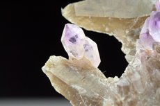 Top Amethyst Zepter Kristalle auf Rauchquarz