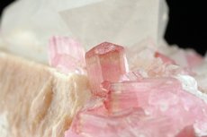 Pinkfarbige Turmalin Kristalle auf Quarz & Feldspat