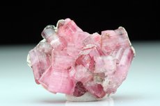 Pink Turmalin Cluster