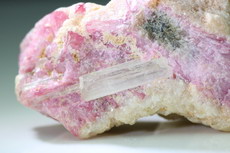 Rare Hambergite Crystal on Mushroom Tourmaline 