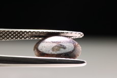 Trapiche Spinell Cabochon