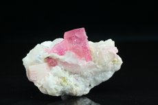 Fine pink Tourmaline in Matrix