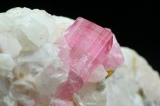 Fine pink Tourmaline in Matrix