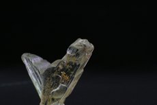 Verzwillingter Chrysoberyll Kristall 