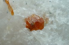Seltener Chondrodit Kristall in Matrix  Sri Lanka 