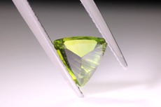 Schöner Demantoid Trillion-Schliff (Telyanskaya)