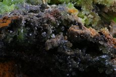 緑鉛鉱 (Pyromorphite)