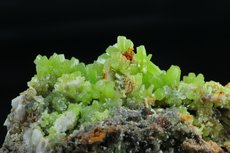 緑鉛鉱 (Pyromorphite)