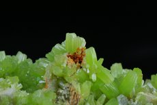 緑鉛鉱 (Pyromorphite)