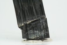 Deformed (bent) Schorl Crystal