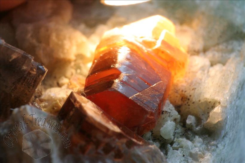 Fine Gemmy 金雲母 Phlogopite With フッ素燐灰石 Fluorapatite On Limestone Crystal Treasure Com