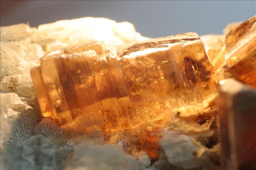 Fine Gemmy 金雲母 Phlogopite With フッ素燐灰石 Fluorapatite On Limestone Crystal Treasure Com