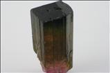 Tricolor Liddicoatite Crystal Vietnam