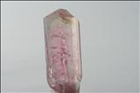 Fine Gemmy Pink/ Colorless Liddicoatite Crystal Vietnam