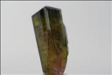 Tri-color Liddicoatite Crystal Vietnam
