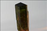 Tri-color Liddicoatite Tourmaline Crystal