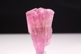 Liddicoatite Tourmaline  Crystal  Vietnam