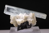 Top  Doubly terminated  Aquamarine  Crystal on Schorl / Albite / Garnet