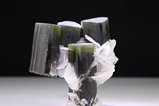 4 intergrown Tourmaline Crystal  Stak Nala