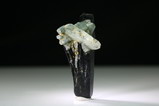 Schorl Crystal  with Cleavelandite