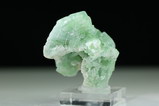 Blau-grüner gebogene Turmalin Kristalle Laghman
