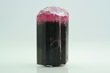Four- colored Tourmaline Crystal  