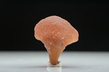 Unusual Mushroom Tourmaline Crystal