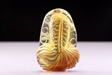 Fish Amber Carving