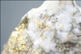 石英 (Quartz) / Pyrite / Gold