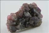 Pinktarbiger / Grauer Saphir Kristall