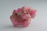 Pink 電気石 (Tourmaline) 結晶 (Crystal) Cluster