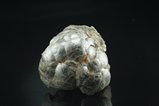 Rare Botryoidal Muscovite