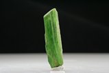 Green Actinolite Crystal