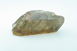 Fully terminated transparent Hornblende Crystal