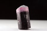 Multi-colored  Tourmaline Crystal 