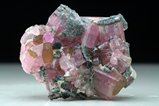 Pink Moor's Head Tourmaline Crystals 