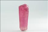Fine Pink Liddicoatite Crystal